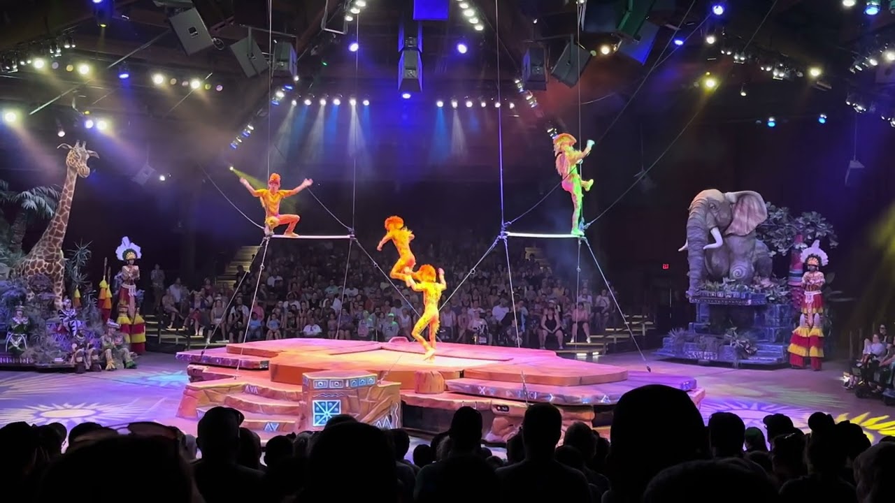 Disney’s Animal Kingdom Festival of Lion 🦁 King August 2023.