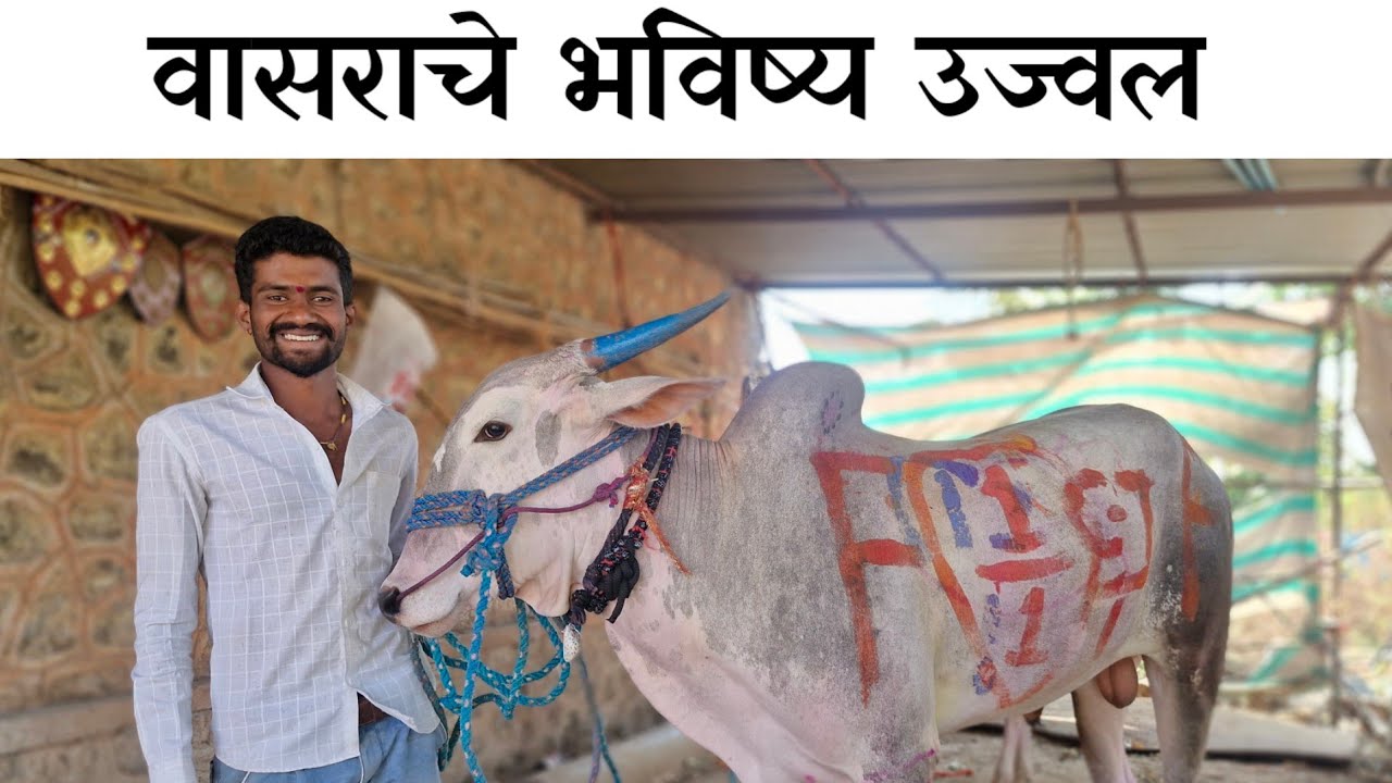 वासराचे भविष्य उज्वल