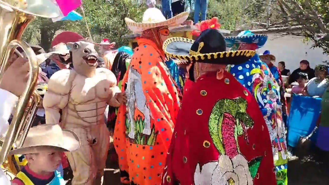Los duraznos 2025🍑🍑 Huayacocotla Ver.Carnaval día sáb.3