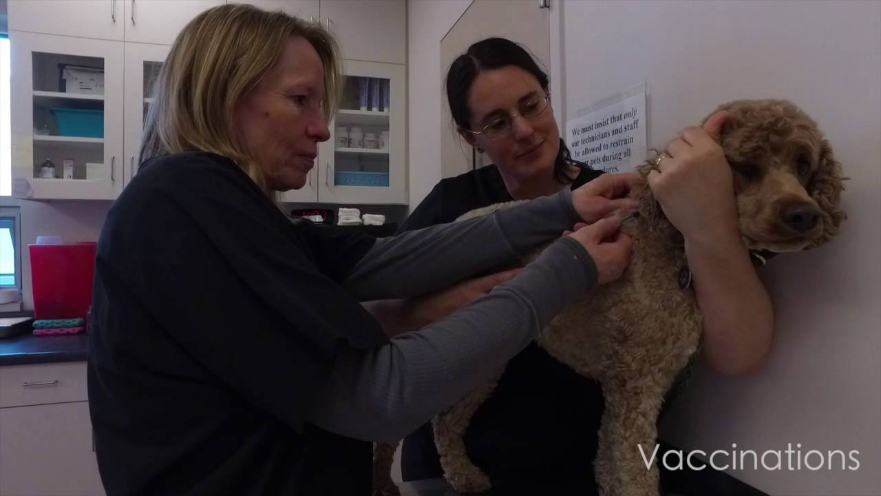 Humane Society of Utah Tour