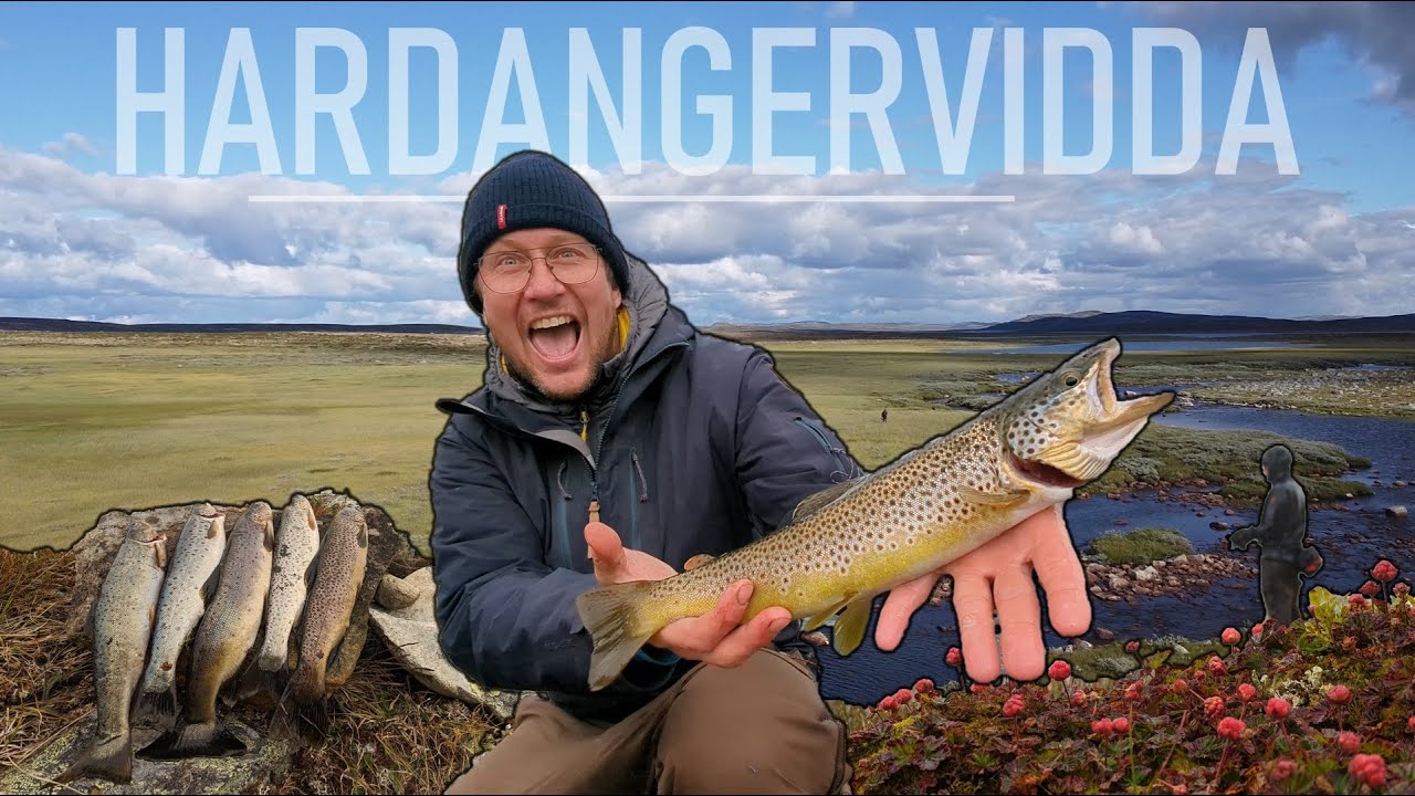 Fiske-bonanza på Hardangervidda