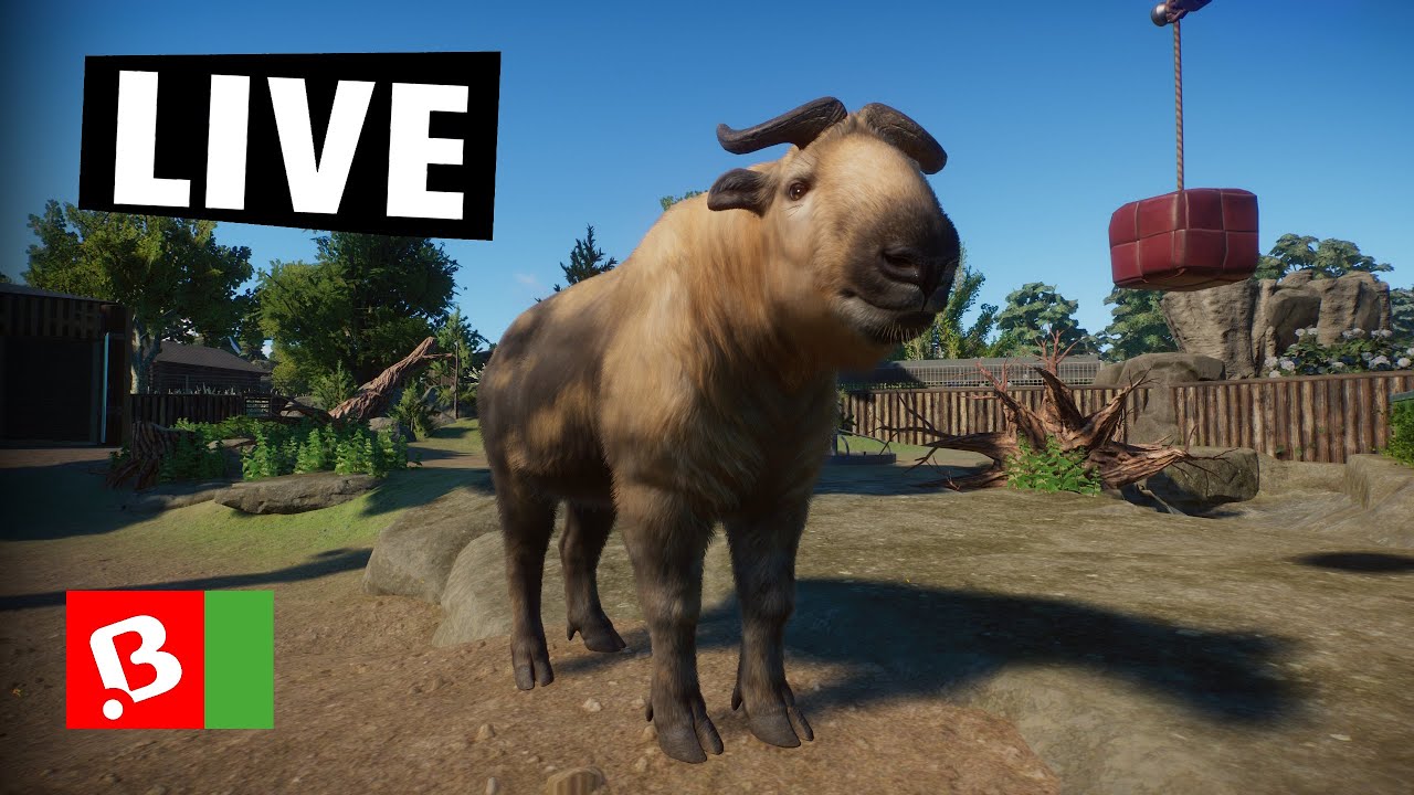 Live 🔴 | Chill s takinem a spousta mláďat | Planet ZOO #18