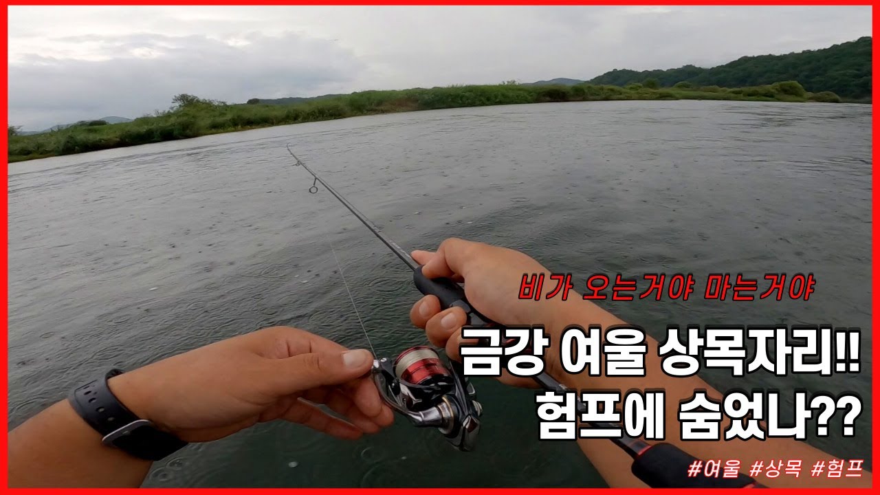 [쏘가리낚시] 상목에 위치한 험프/여울 사이드 수초까지