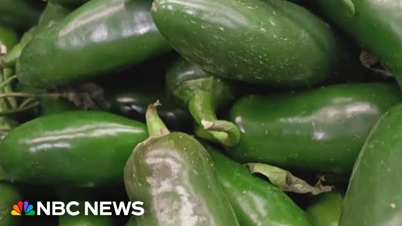 New food items recalled over salmonella outbreak&nbsp;