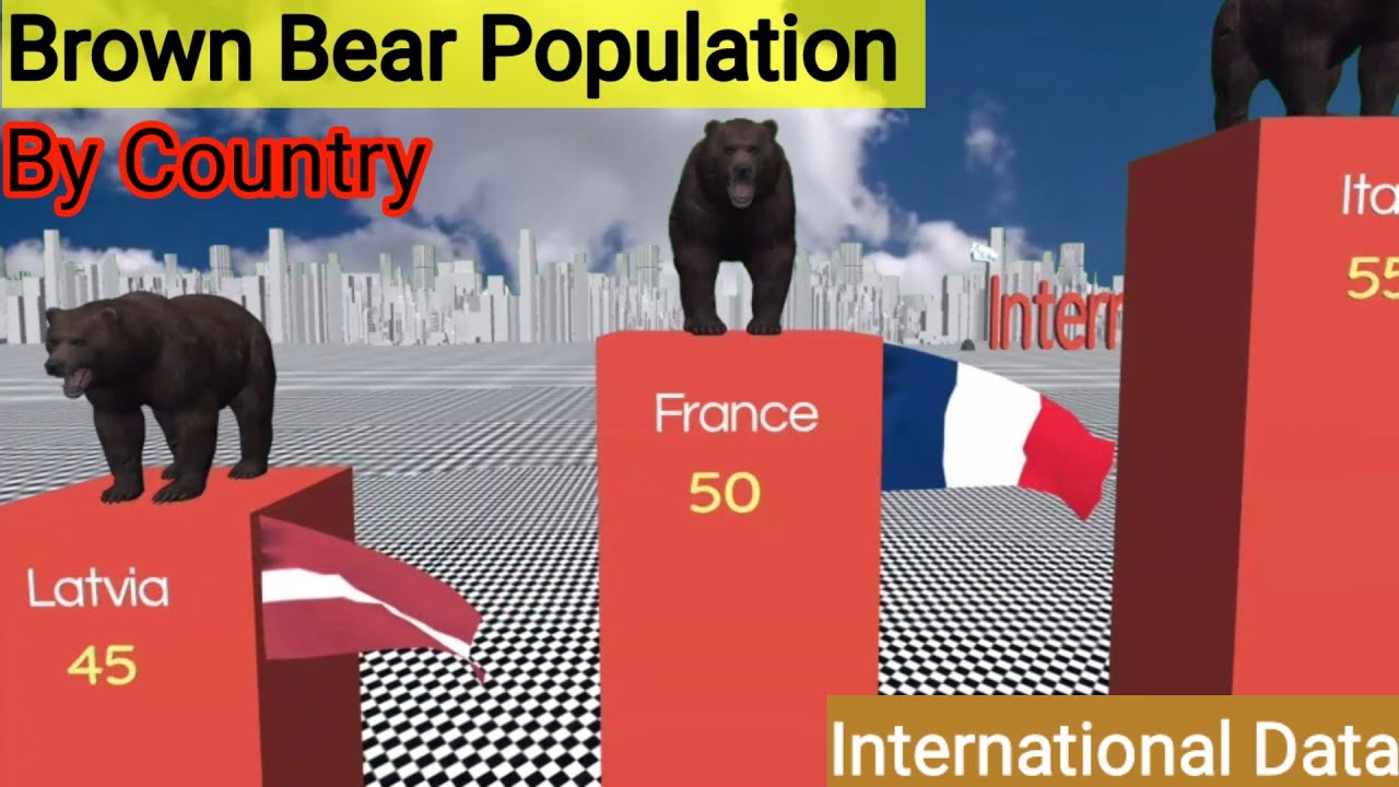 brown bear population by country |2023 || #3dcomparison #brownbears #bear #data