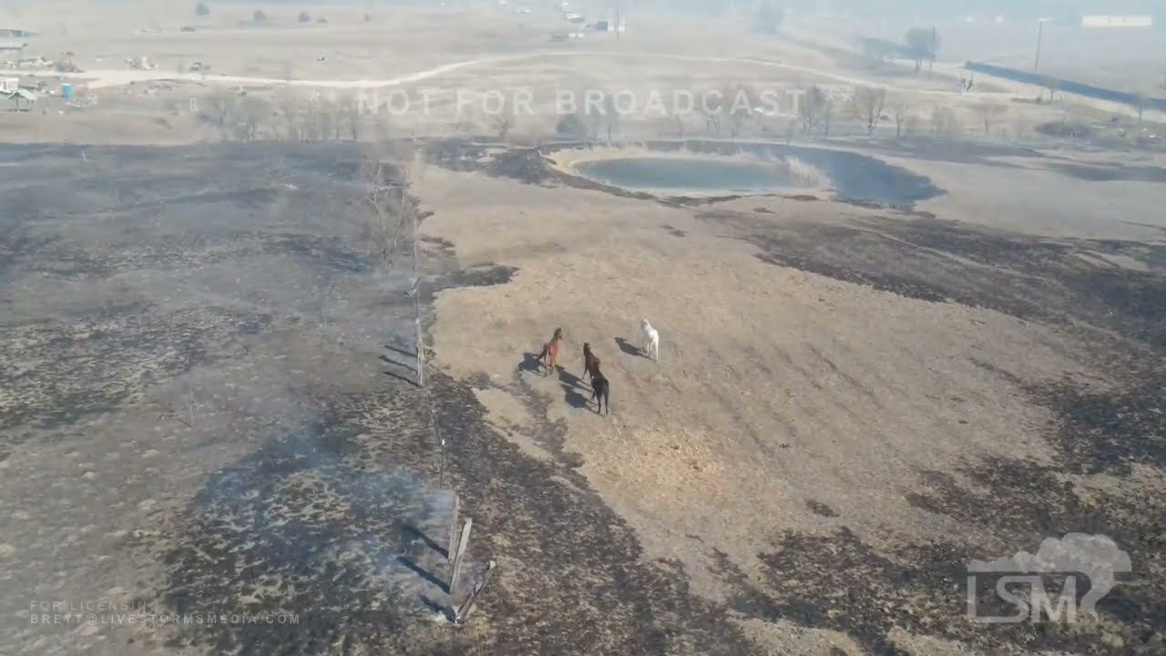 01-19-2022 Ennis, TX - 500+ acre fast moving fire threatens horses & homes