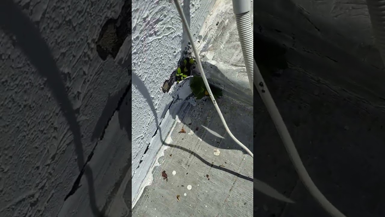 22 de janeiro de 2026