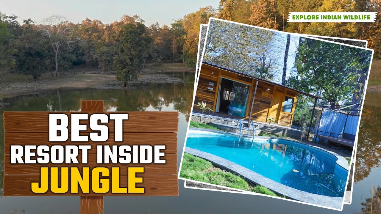 Waking up to Tiger Roars? Pench National Park: Luxury Resort Stay & Tiger Safar 