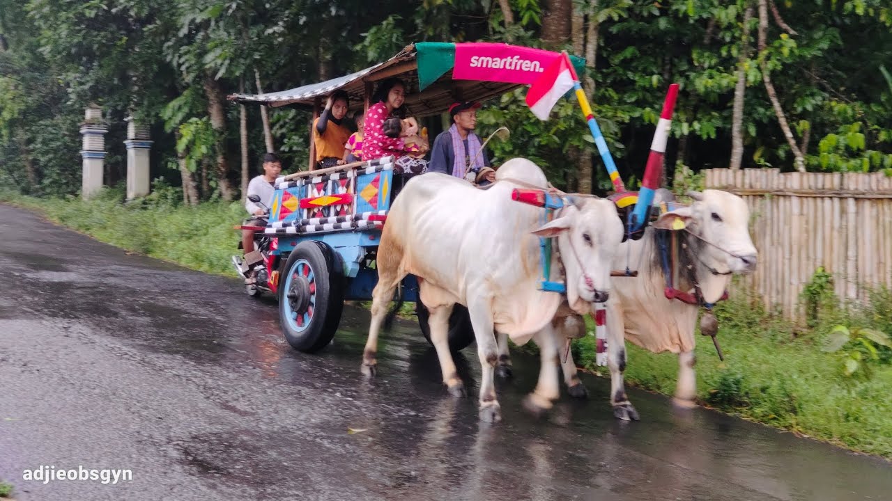 naik PEDATI merapi