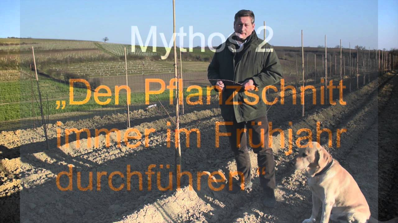 #1 Obstbau Mythen - Pflanzung, Pflanzzeit u. Pflanzschnitt
