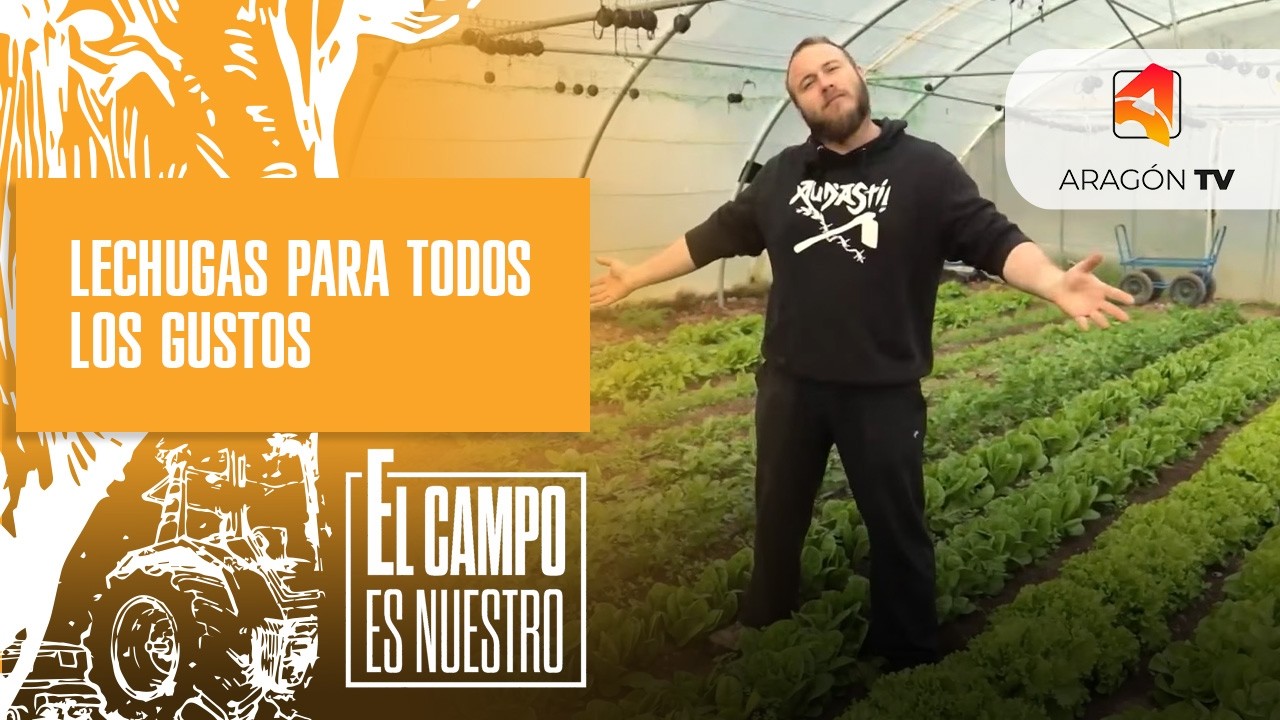 Lechugas para todos los gustos