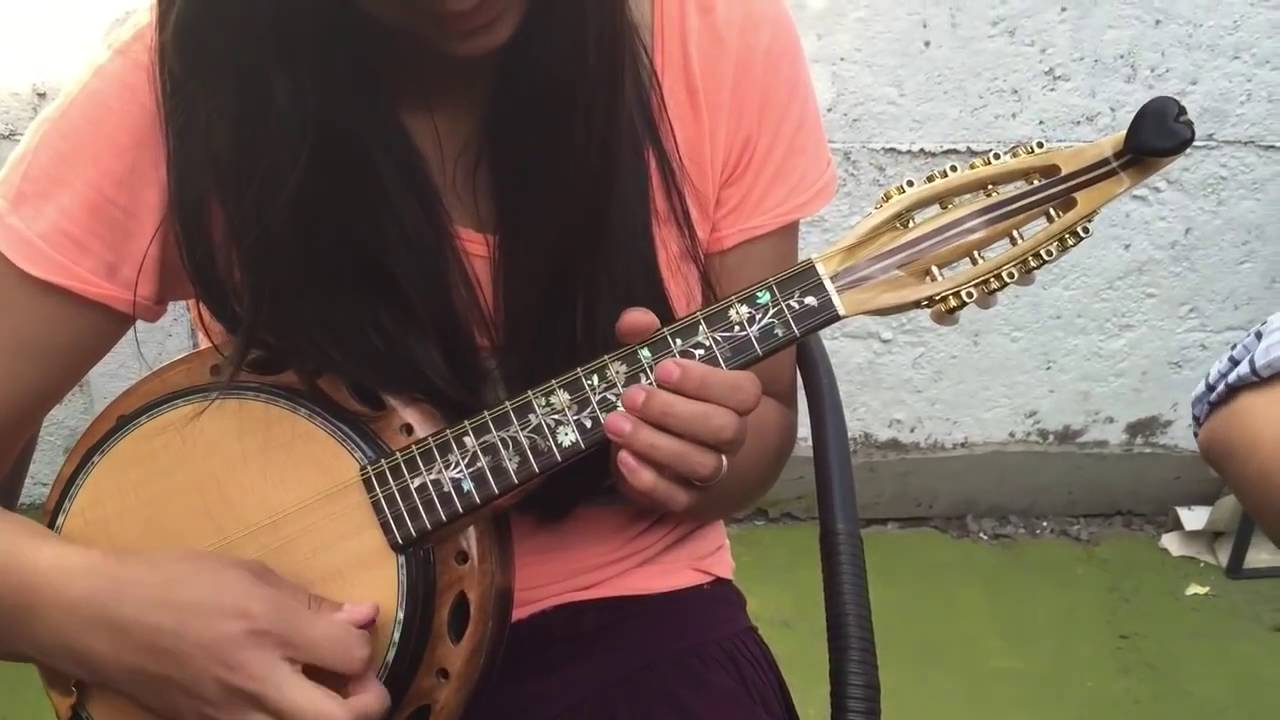 Banjo Luthart, 100% madera