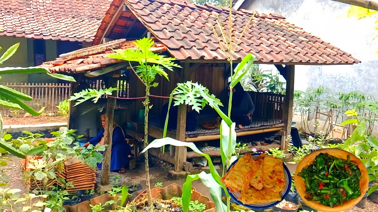 Hidup di Desa | Pertama Kali Bikin Rujak Kangkung,Tempe Mendoan, Keripik Pepaya 