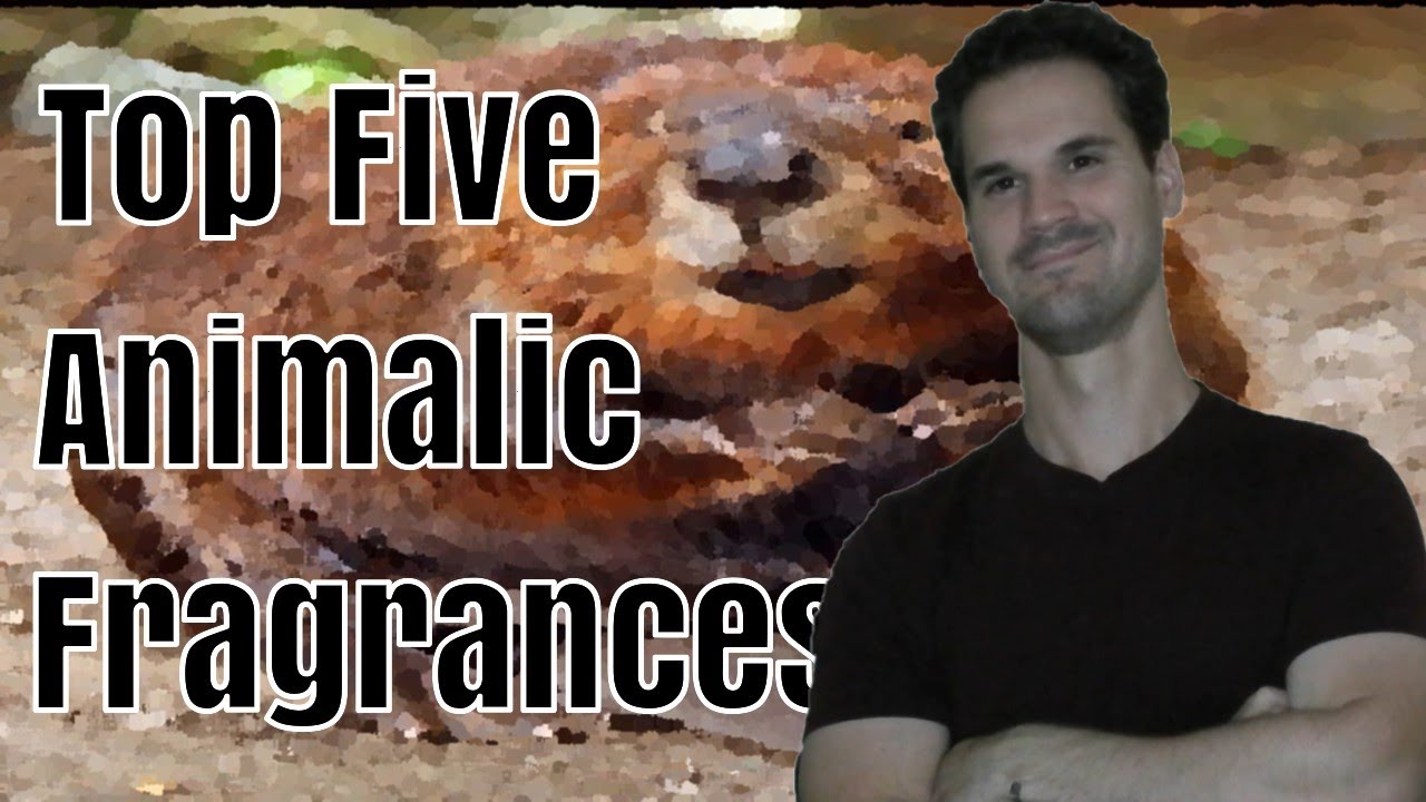 Top 5 Animalic Fragrances || Best Civet & Castoreum Fragrances