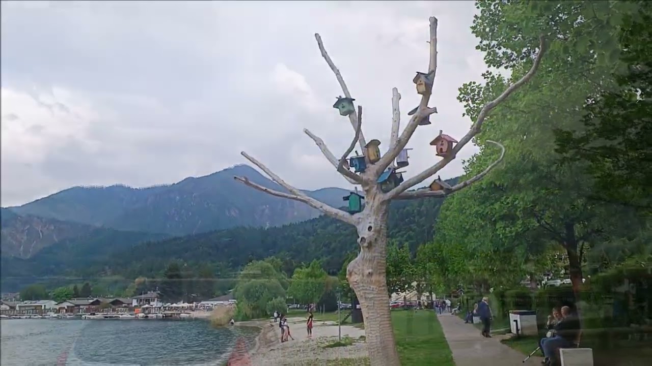 Lake Caldonazzo Spring 2023 Trentino Italy | How to Arrive and Things to Do in Lake Caldonazzo