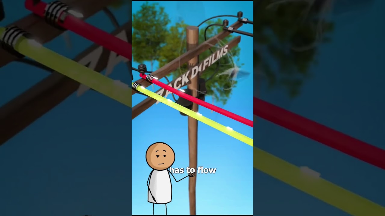 How Birds Avoid Electrocution  . Video creadit. @zackdfilms