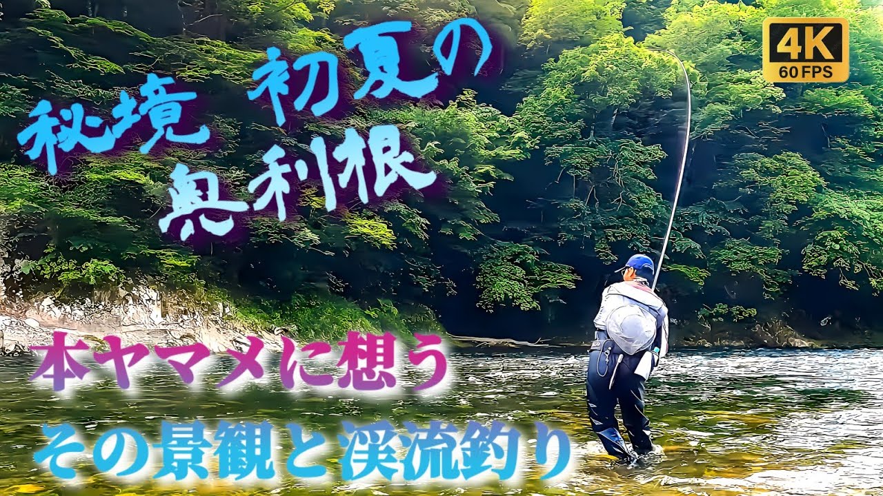 【試行錯誤】奥利根の本ヤマメ達 鋭覇か！𝐙𝐄𝐑𝐎か！？「2023初夏の渓流釣り」(鋭覇SMT解説)