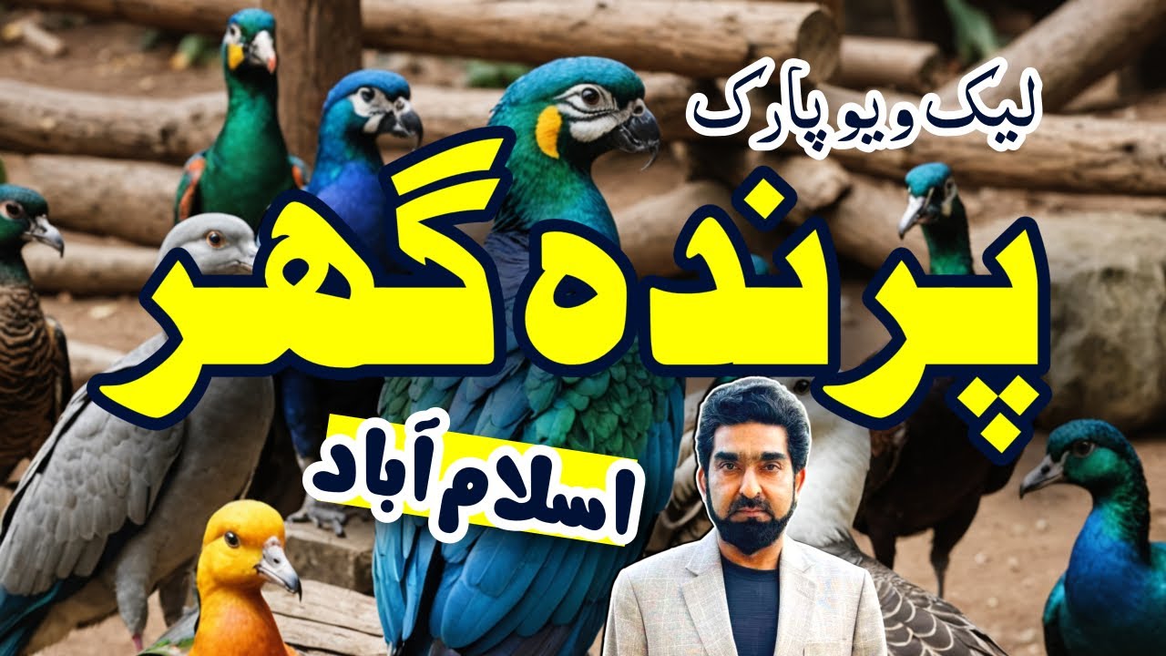World's 3rd Biggest Bird Walk-In Aviary | Lake View Park, Islamabad