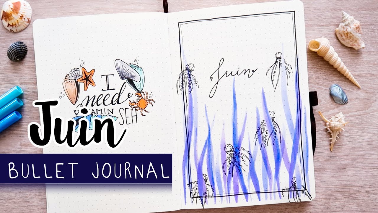 PLAN WITH ME | Bullet Journal JUIN