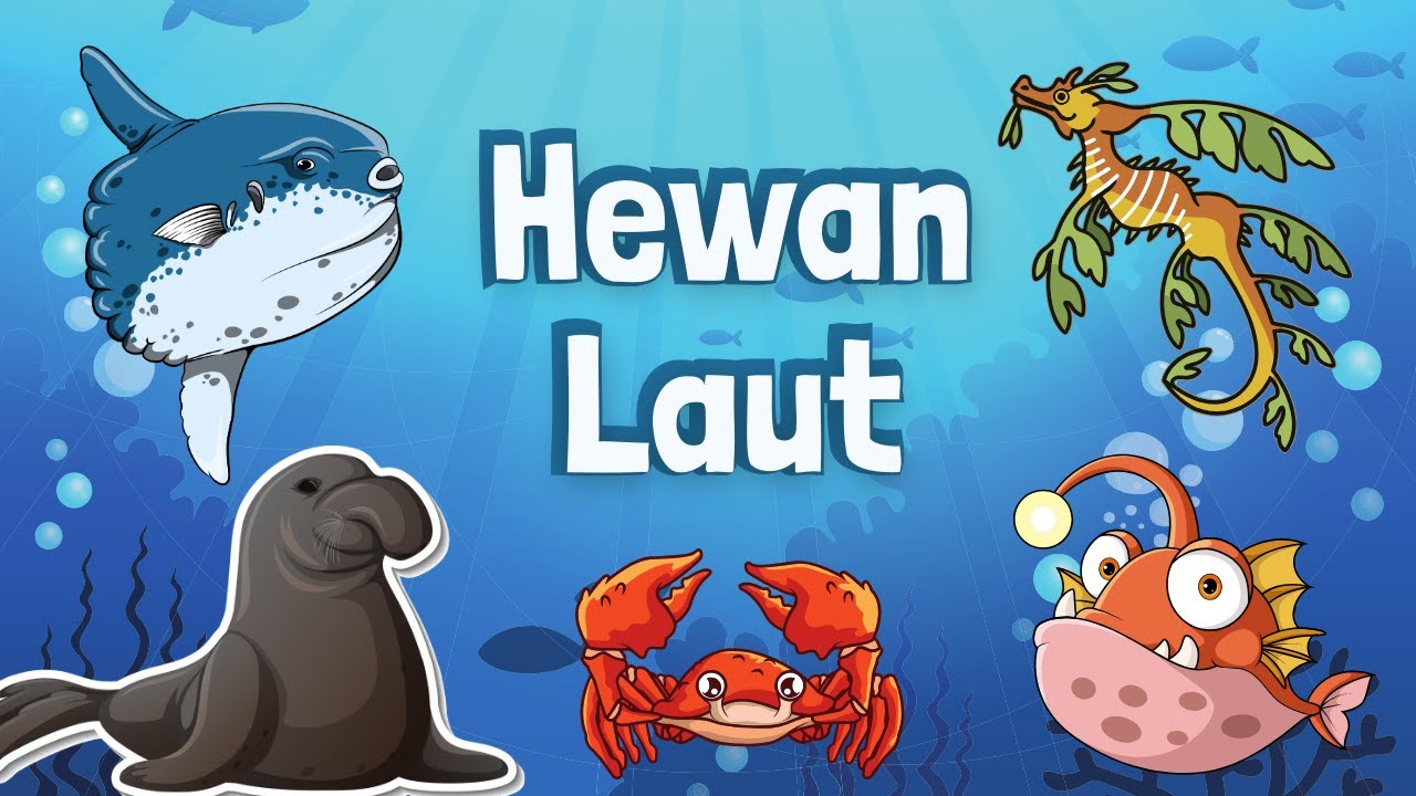 Ayo Belajar Mengenal Nama-nama Hewan Laut||Video Edukasi Untuk Anak-anak