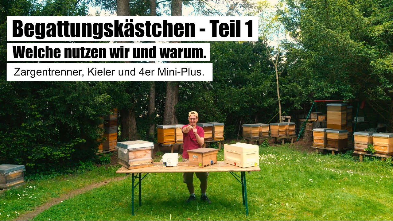 Begattungskästchen - Teil 1 - Welche wir nutzen und warum. Halbzargentrenner, Kieler, 4er Mini-Plus.
