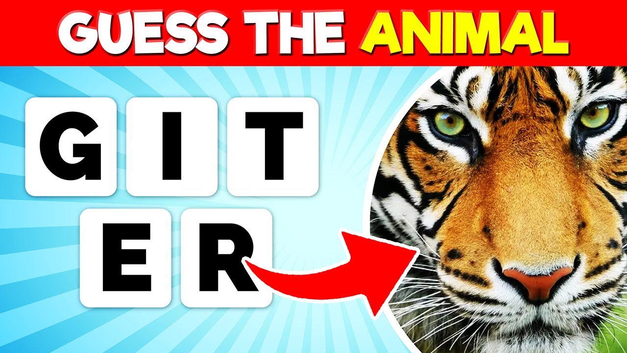 Guess the Animal by its Scrambled Name | Scrambled Letters Animal Names