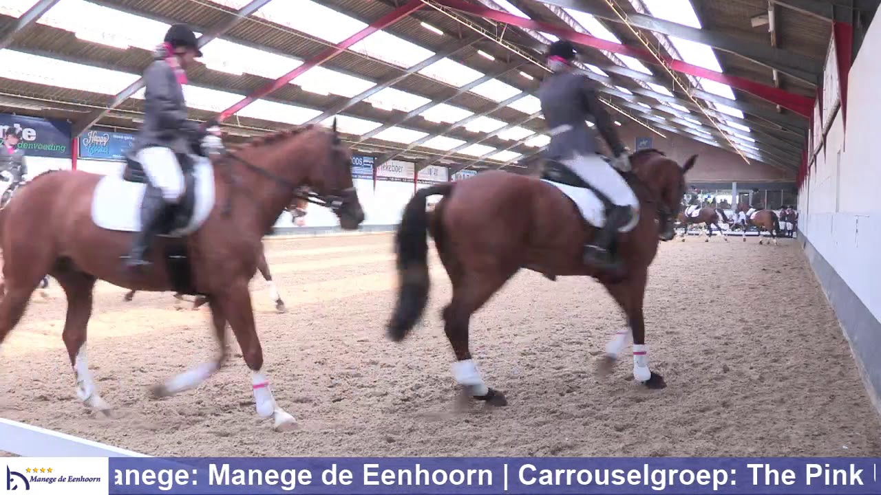 The Pink Unicorns - VCN Carrouselwedstrijd - Manege de Eenhoorn - 19 mei 2019