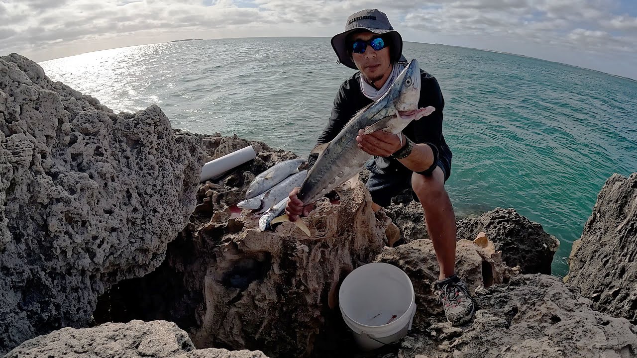 Catch and Cook Hunting for Mackerel off rocks