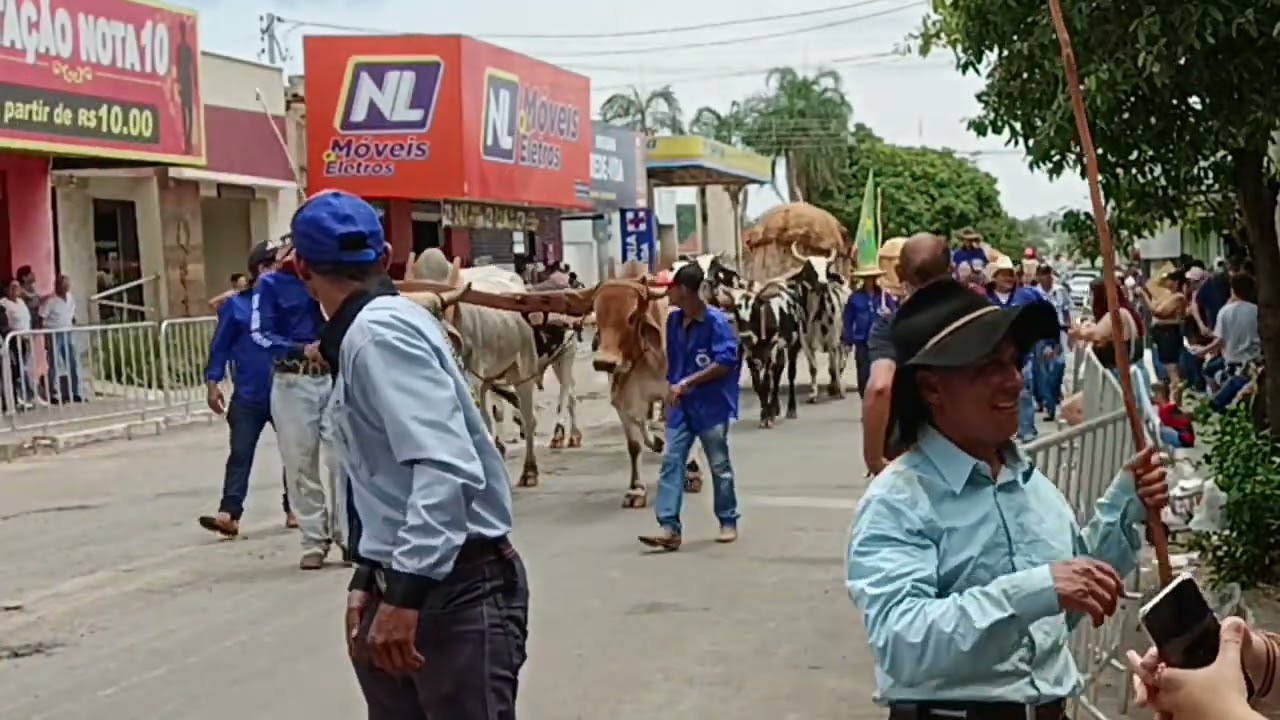 desfile de carro de boi Anicuns GO