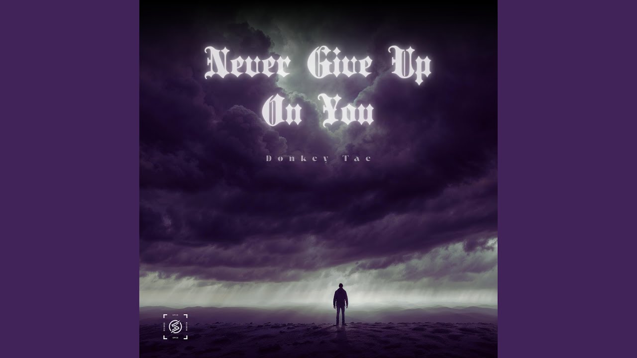 Never Give Up On You