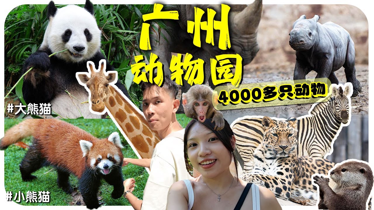 【广州动物园】马币10块看4000千多只动物❗重点还有大熊猫和小熊猫看🐼 超多没看过的动物🤠【GuangZhou Zoo】