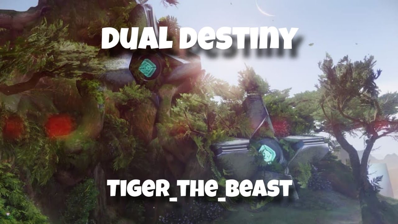 Destiny Dual Destiny Teaching