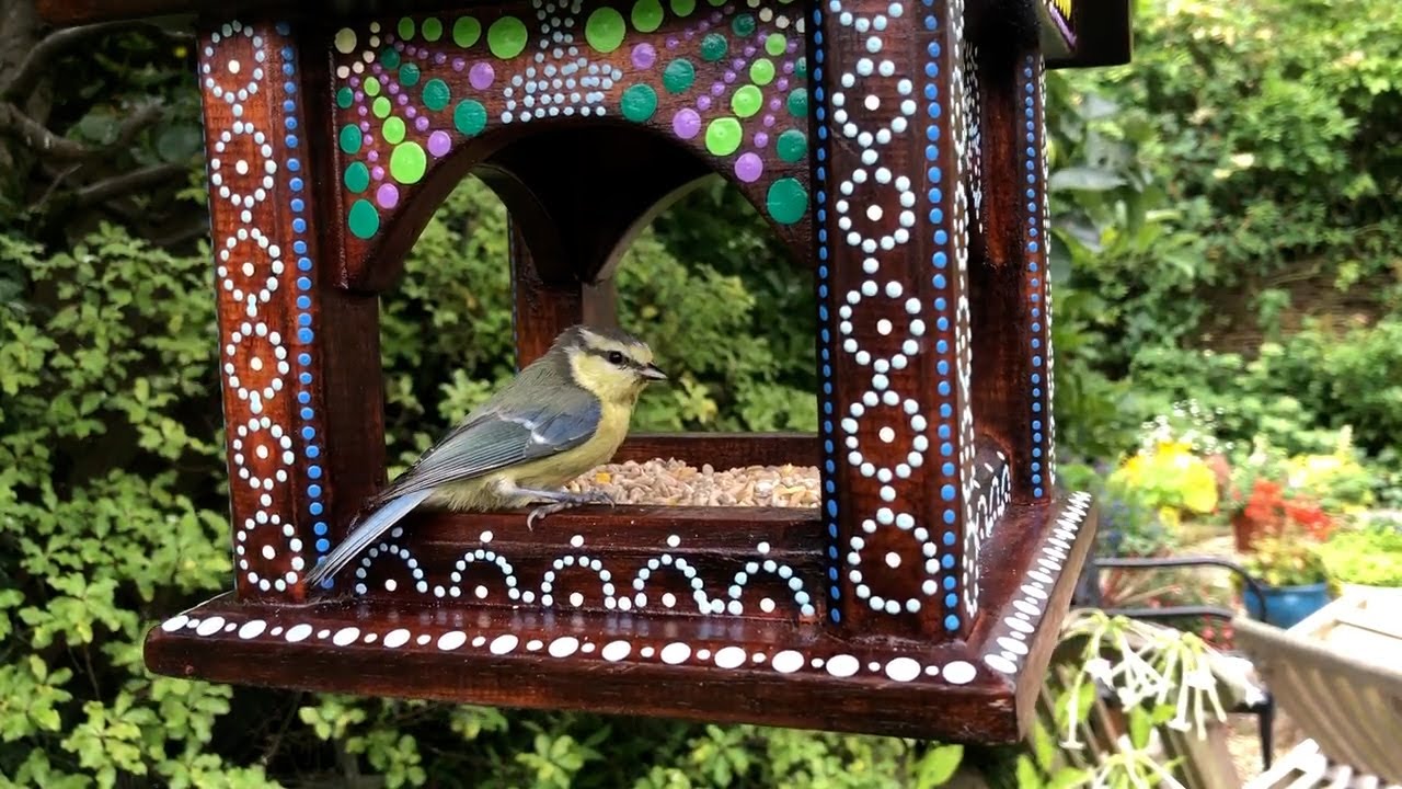 Beautiful, bright, bird feeders