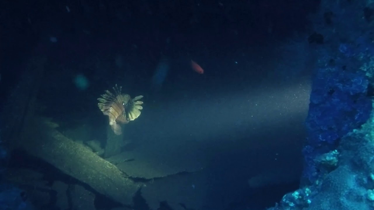 2019/03/31 - Epave - Sea Venture - Réunion