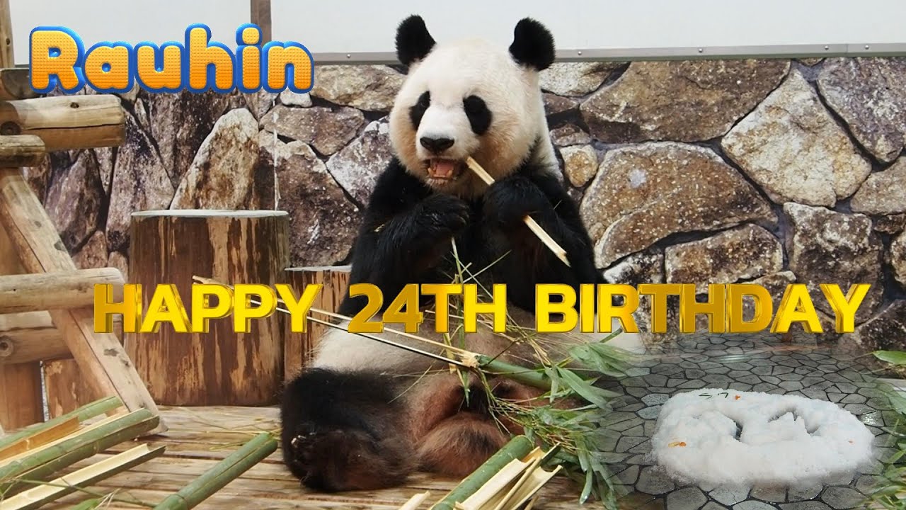 【Happy　Birthday良浜、２４歳の誕生日とその時娘たちは】