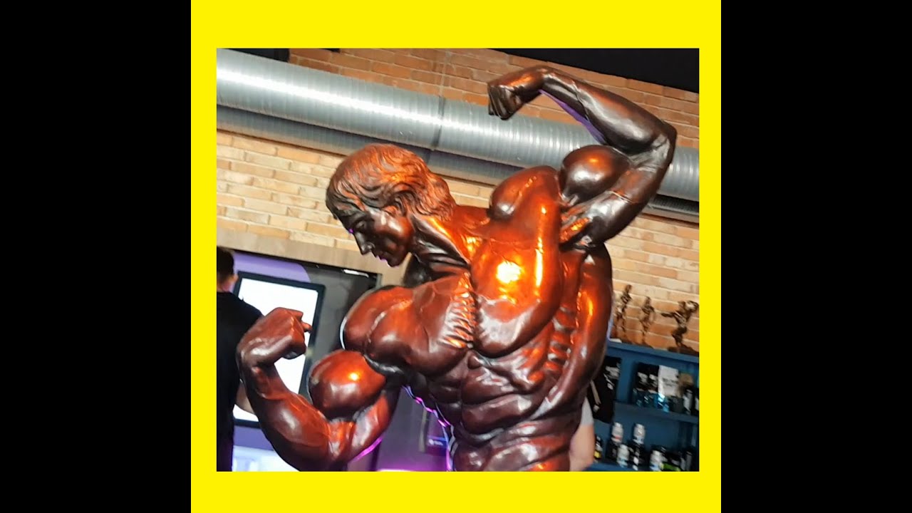 CRAILSHEIM fitnesscenter ( LifeForce ) - kraftsport mit LIEBE zum DETAIL - Fitnessstudio + KUNST !