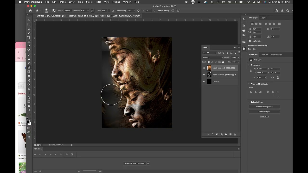 Image Complementary Portrait PhotoSHop