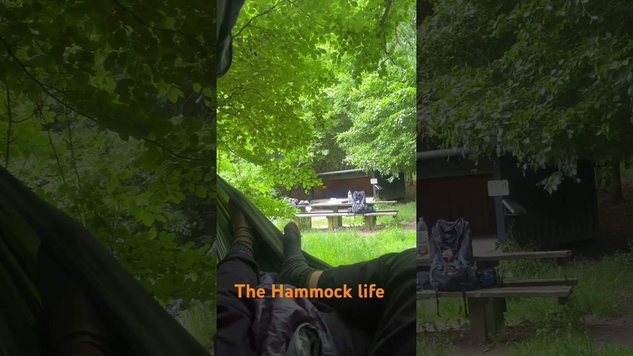 The Hammock camping life. Just chillin . #hammockcamping #wildcamping #hammocklife