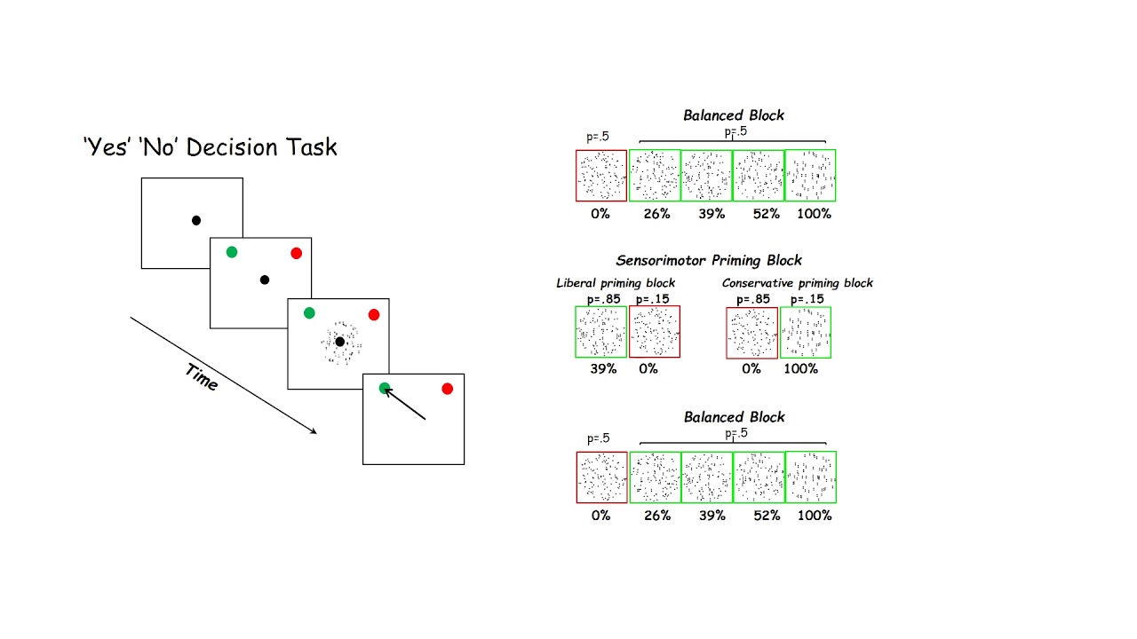 Decision-Making in the Superior Colliculus