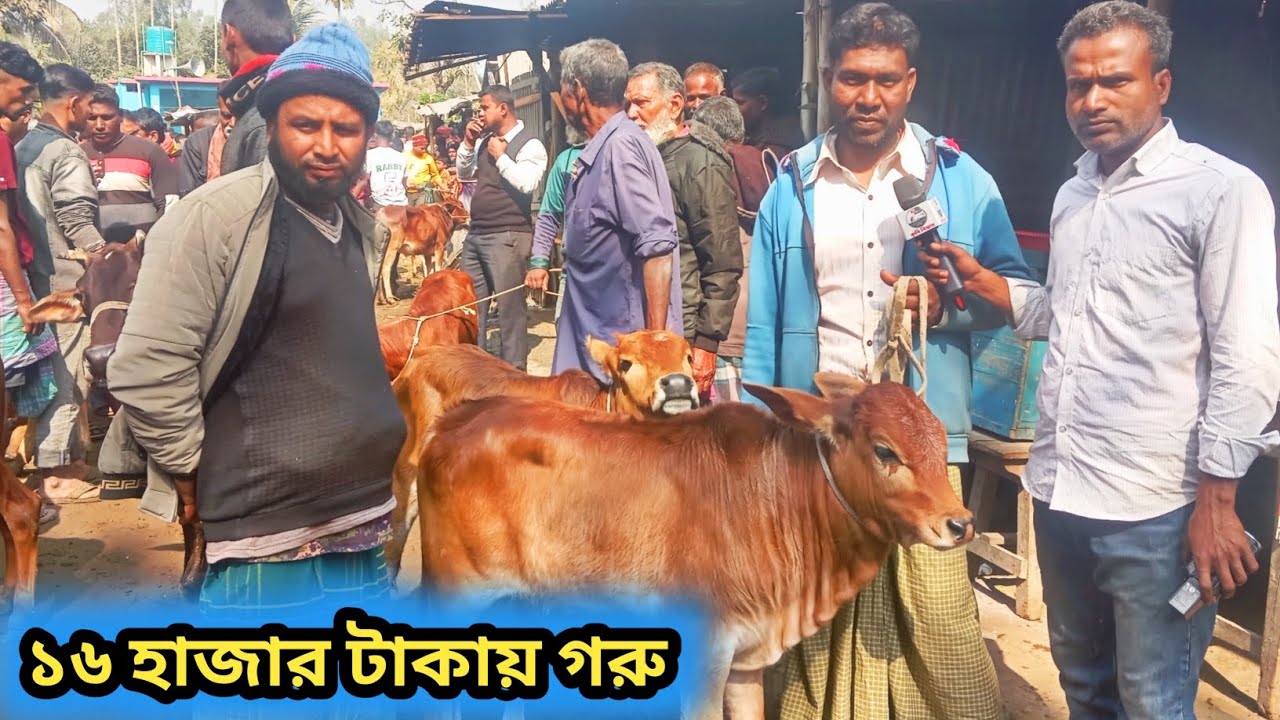 ৩০জানুয়ারি ২০২৬| আজ আমবাড়ি হাটে