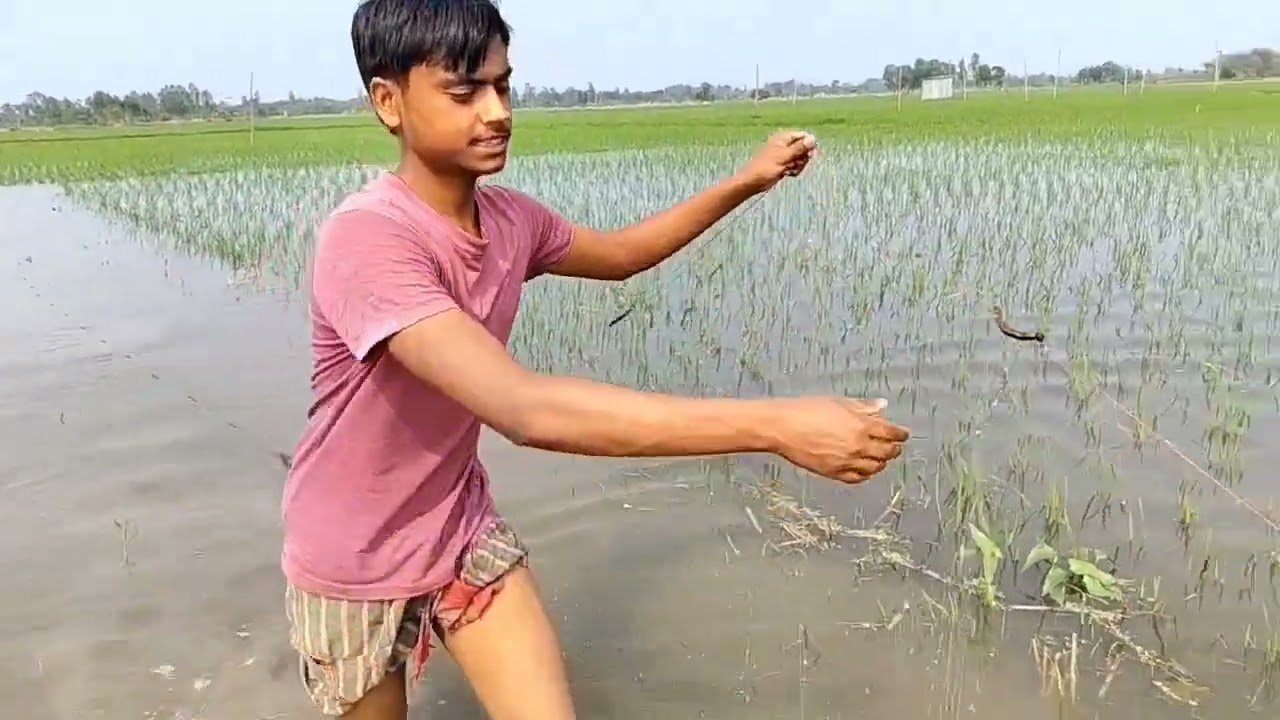 নতুন সিস্টেমে মায়া মাছ ধরা ভিডিও##2026