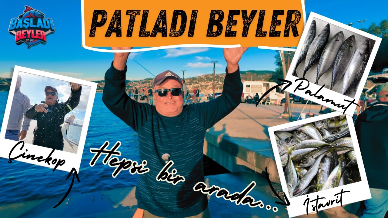 PALAMUT ÇİNEKOP İSTAVRİT MERA BEREKETLENDİ KASIM 24 #palamut #çinekop #istavrit #kurşunarkası #fish