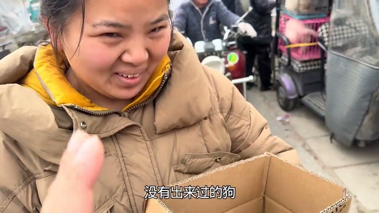 现场真实版丑比熊变白天鹅，进了趟澡堂子，出来不认识了