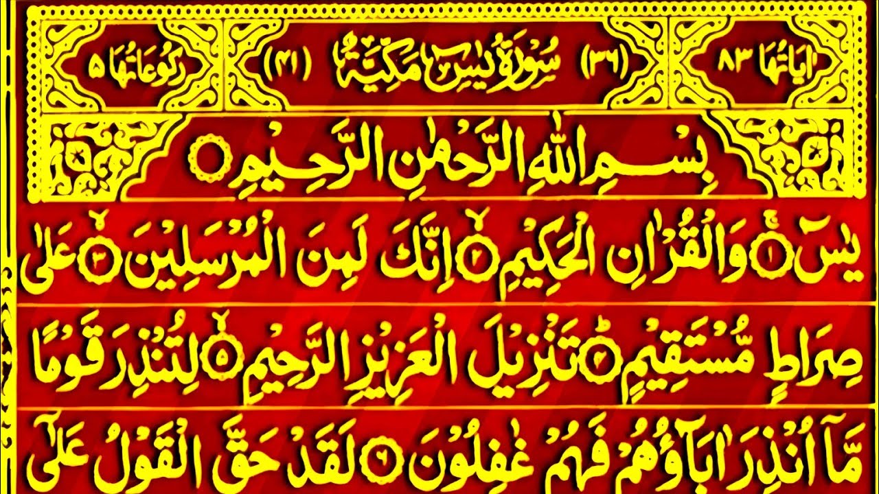 Surah Yasin Surah Rahman | Beautiful Recitation Surah Yaseen Surah Rahman Full | Quran Tilawat | 055