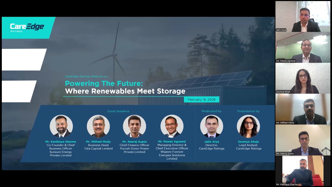 What's The future of Renewable Energy and Storage Experts Say?
