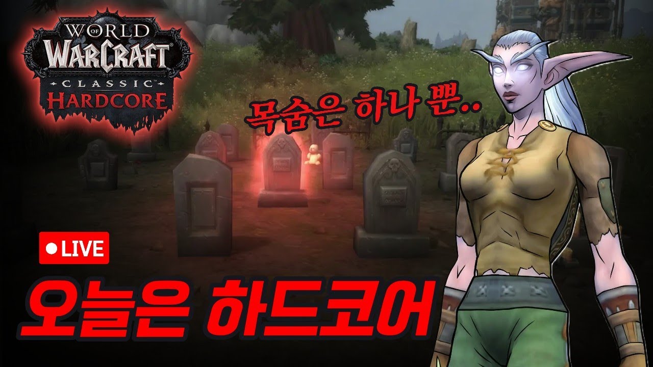 [WoW 하드코어] 내 거친 활질과~불안한 눈빛과~그건 아마도 전쟁 같은 하코🔥