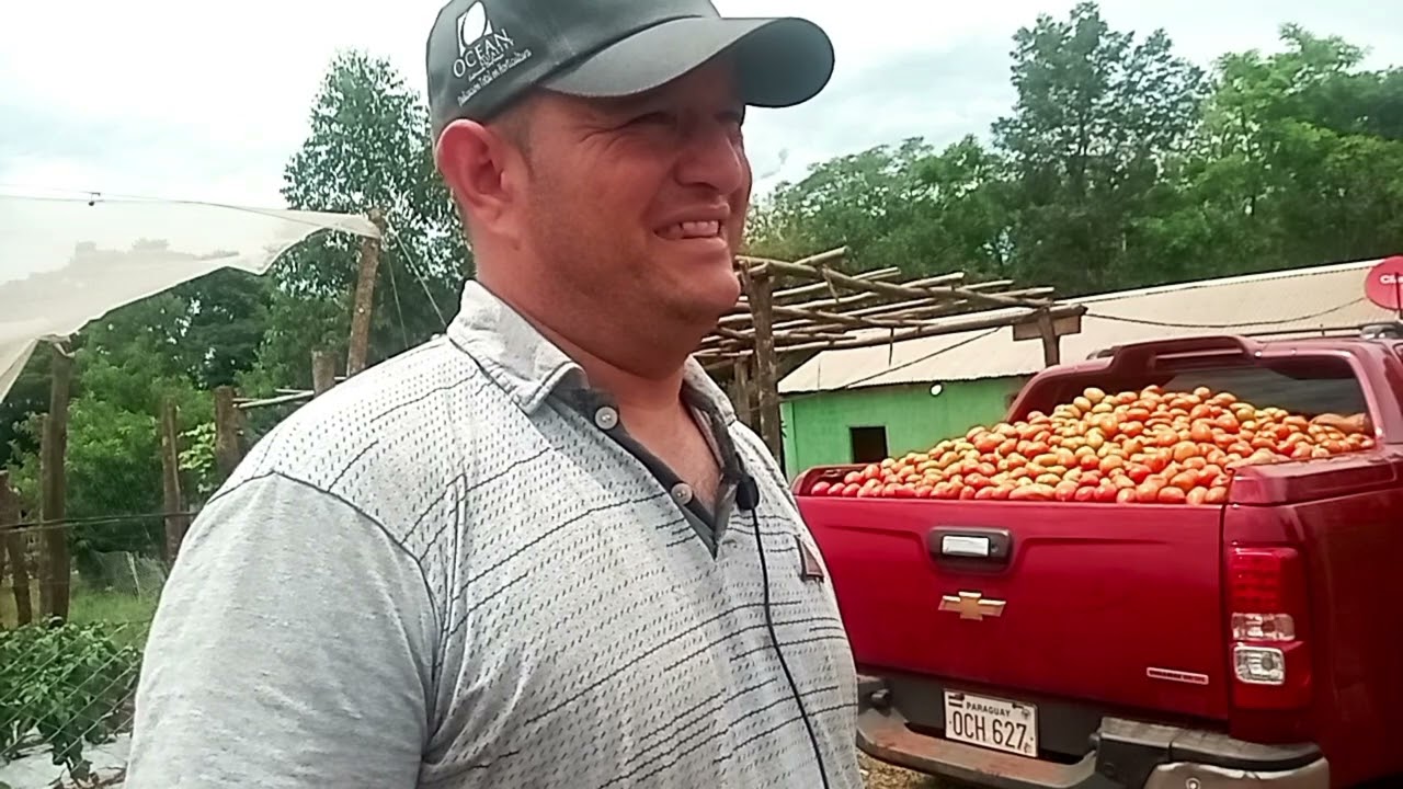 Producción de Tomate y locote: MUNDIAL TV RURAL