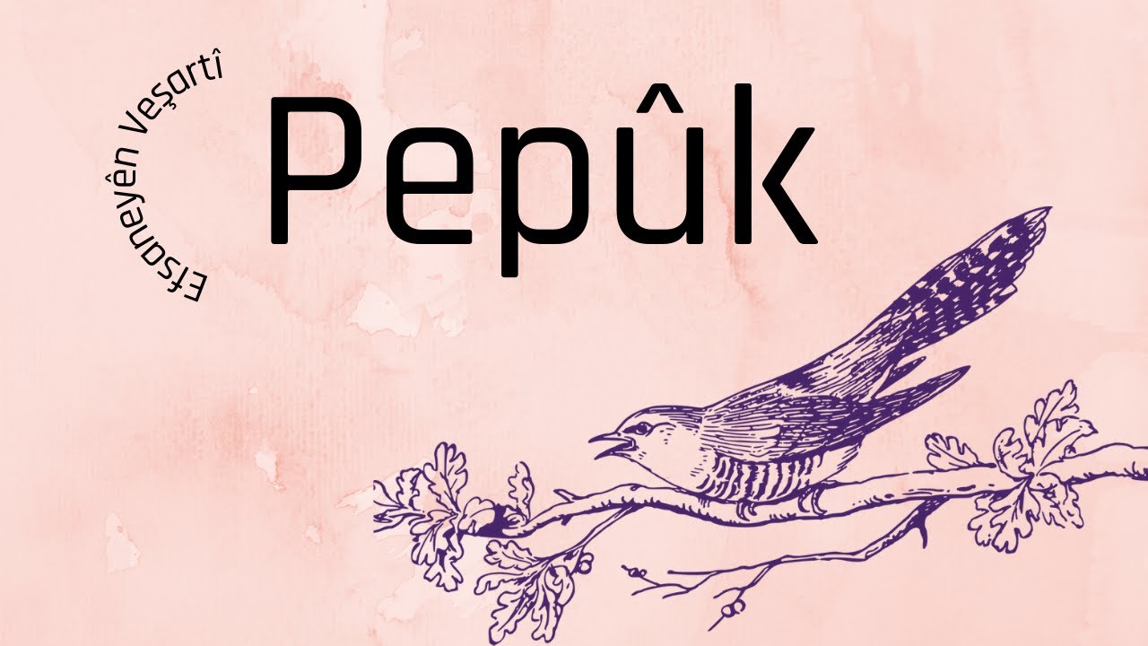 Pepûk