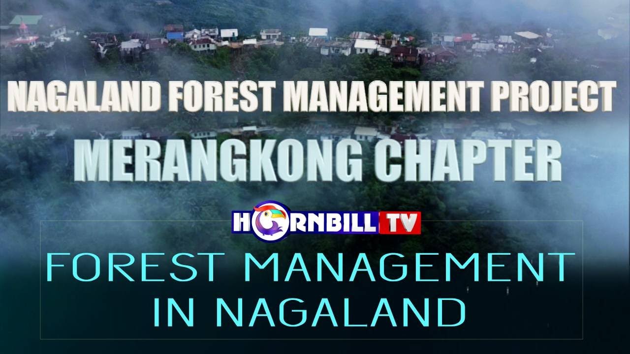 FOREST MANAGEMENT IN NAGALAND