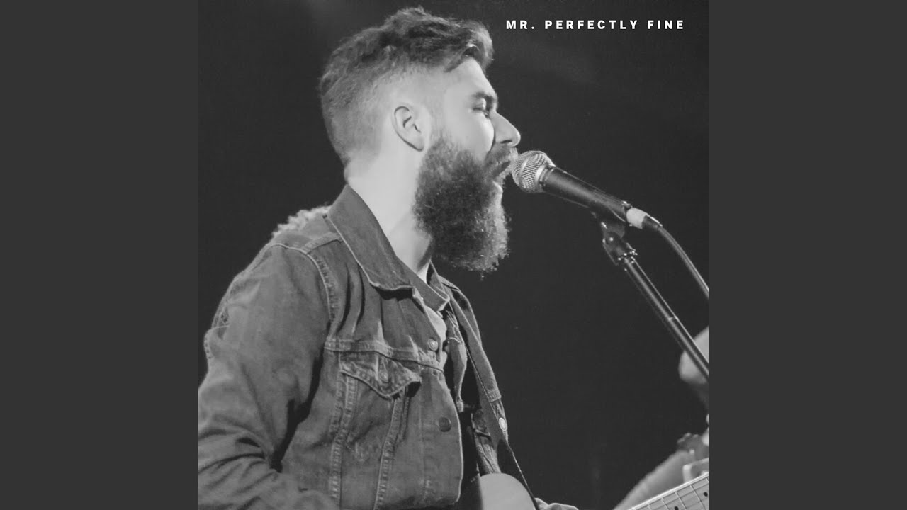 Mr. Perfectly Fine